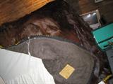 Vintage bearskin