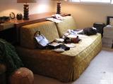 Mid Century Twin Size Daybed w/Storage