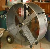 Huge "Big Country" Shop Fan