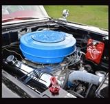 1959 Ford Galaxie Skyliner Engine 
