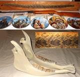 Mounted on Board Rattlesnake Skin, Rattle, Baby Alligator Scull, Air Gun and Jaw Bones 