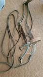 Horse Bridle