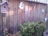 Bird Houses