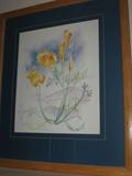 2 of 4 Signed by Jennifer Meadows #8 of 50. Watercolor, Matted and Framed 1989. Four State Flowers. California - California Poppy