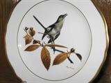 Ray Harm Collection of Bird Plates. Set of 12.
#2: Eastern Mockingbird