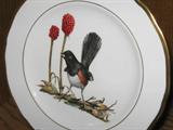 Ray Harm Collection of Bird Plates. Set of 12.
#3: Rufous - Sided Towhee