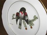 Ray Harm Collection of Bird Plates. Set of 12.
#6: Rose Breasted Grossbeak