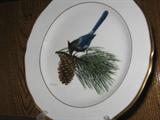 Ray Harm Collection of Bird Plates. Set of 12.
#4: Steller's Jay