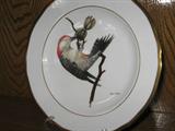 Ray Harm Collection of Bird Plates. Set of 12.
#5: Red Bellied woodpecker
