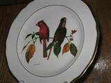 Ray Harm Collection of Bird Plates. Set of 12.
#7: Cardinal.