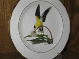 Ray Harm Collection of Bird Plates. Set of 12.
#11: American Gold Finch