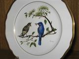 Ray Harm Collection of Bird Plates. Set of 12.
#8: Eastern Bluebird