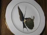Ray Harm Collection of Bird Plates. Set of 12.
#10: Barn Swallow