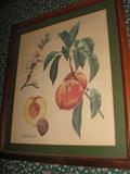 1 of 5 Framed & Matted Prints by Guy Coheleack
#1: Peach