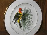 Ray Harm Collection of Bird Plates. Set of 12.
#12: Western Tanager