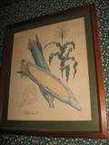1 of 5 Framed & Matted Prints by Guy Coheleack
#2: Corn