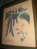 1 of 5 Framed & Matted Prints by Guy Coheleack
#4: Peas