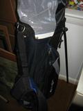 Cougar Golf Bag w/Stand & Clubs