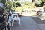 many plants including Plumeria, patio set, Char Broil BBQ.