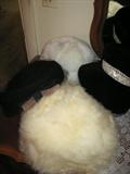 Assorted vintage Ladies Hats
