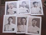 1929 Red Wings