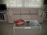 SLEEPER SOFA, WOODARD COFFEE TABLE