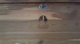 Lane, Cedar chest