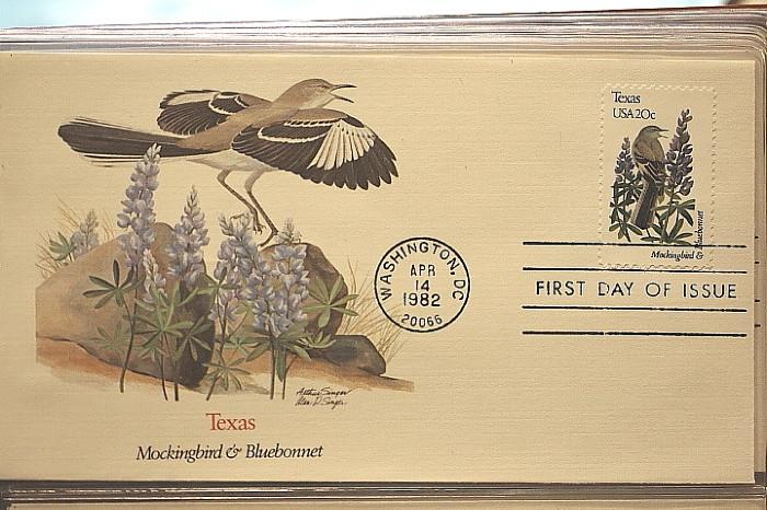 Texas mockingbird with bluebonnets