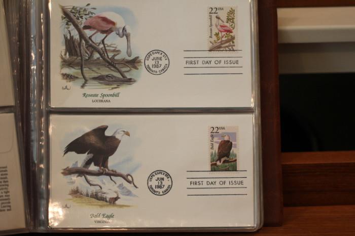 Roseate spoonbill, Bald Eagle