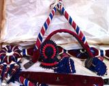 Fancy Parade Dress Stirrups, Bridle, etc.