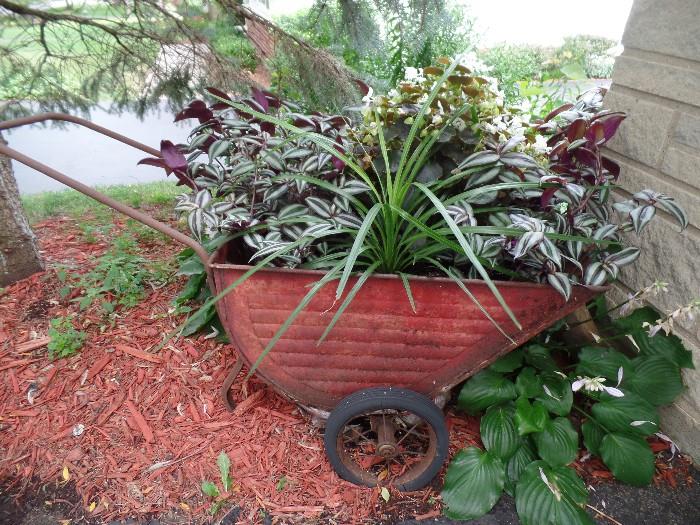 Vintage Metal wheel barrel with plants 