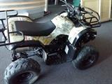 small ATV