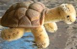Steiff Slo, the Turtle.