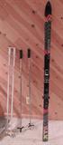 Women's composite downhill skis, poles.