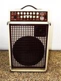 Item Description: A SWR California blonde Acoustic Instrument Amplifier.