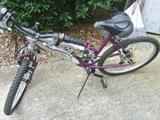 Schwinn female bike