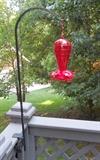 Hummingbird feeder on shepherd's hook