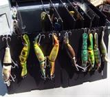 Lots of Big Muskee Lure Collection w-Travel Cases
