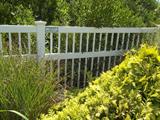 29 sections of fence