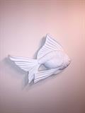 FISH DECOR'