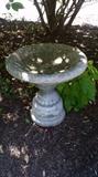 Bird Bath
