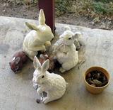 outdoor bunnies