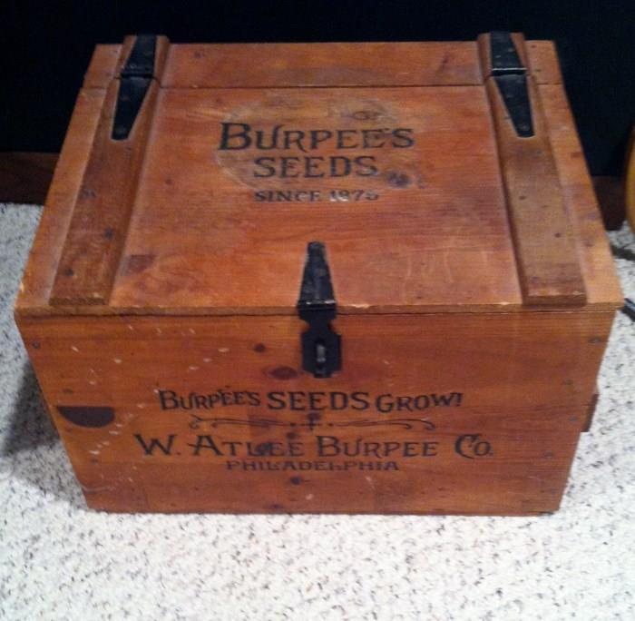 antique Burpee Seeds case