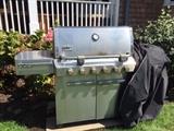 Weber Grill
