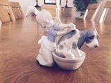 Lladro, sells on ebay and other sites for $250 +. $125.  In excellent condition.