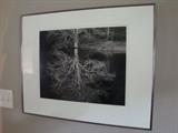 "Tree Reflection, Cascade Lake" by Charles Phillips 1985. 37/250 limited edition