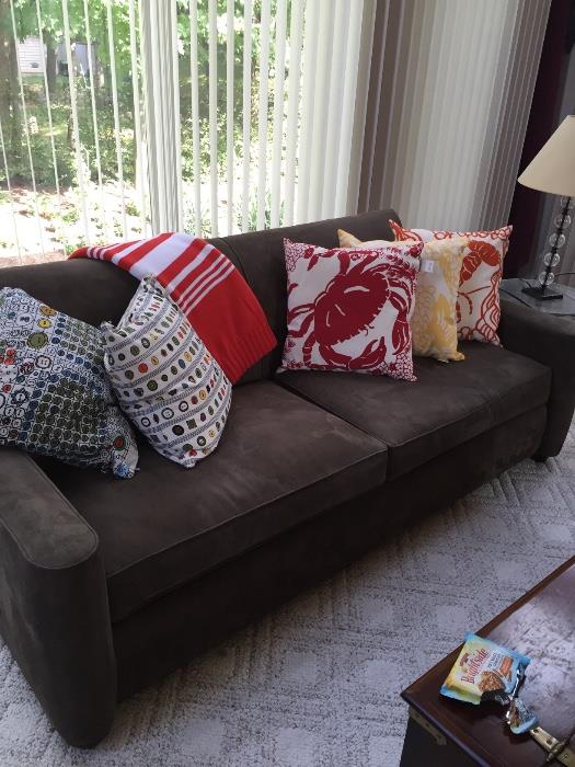 Crate and Barrel couch with lots of pillows to choose too!