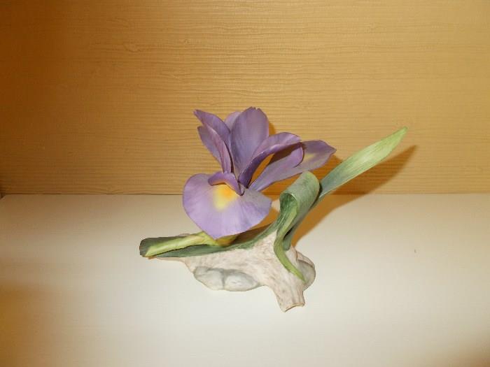 BOEHM Porcelain - Louisiana Iris - Special Edition - # 35 - F435 - 11/7/97 - Signed "Fondly, Helen Boehm"