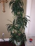 FAUX HOUSE PLANT