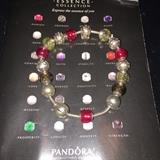 PANDORA ESSENCE COLLECTION BRACELET AND CHAMS 